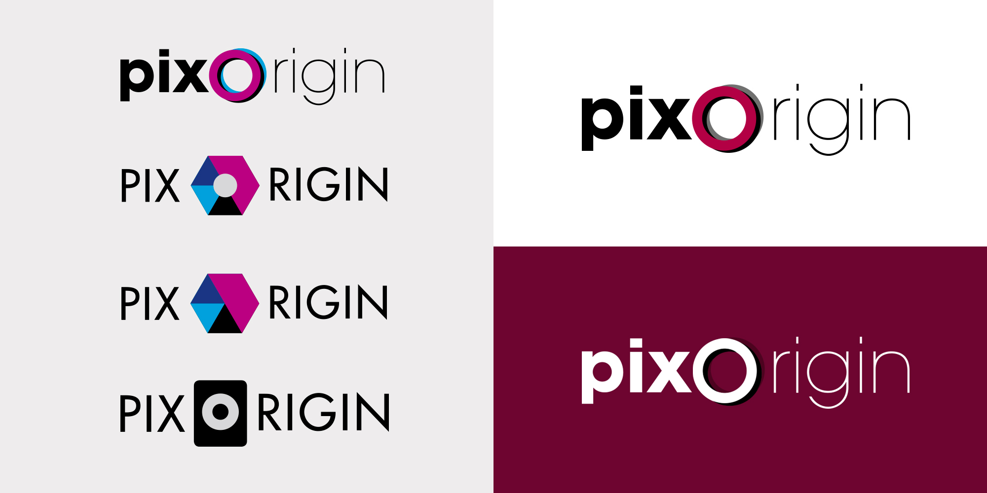 Logos - identité visuelle - IDDP - Pixorigin