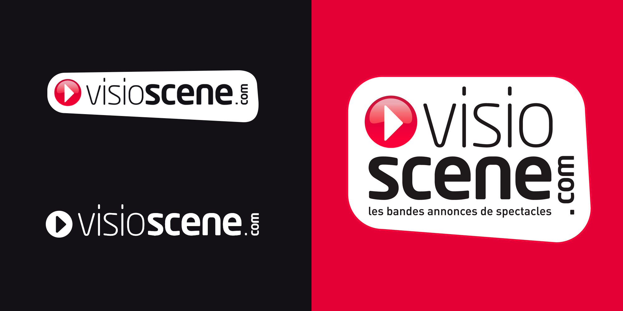 Logos - identité visuelle - IDDP - Visioscene