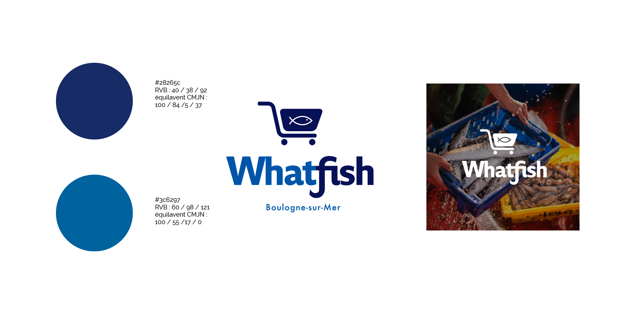 identité de marque whatfish