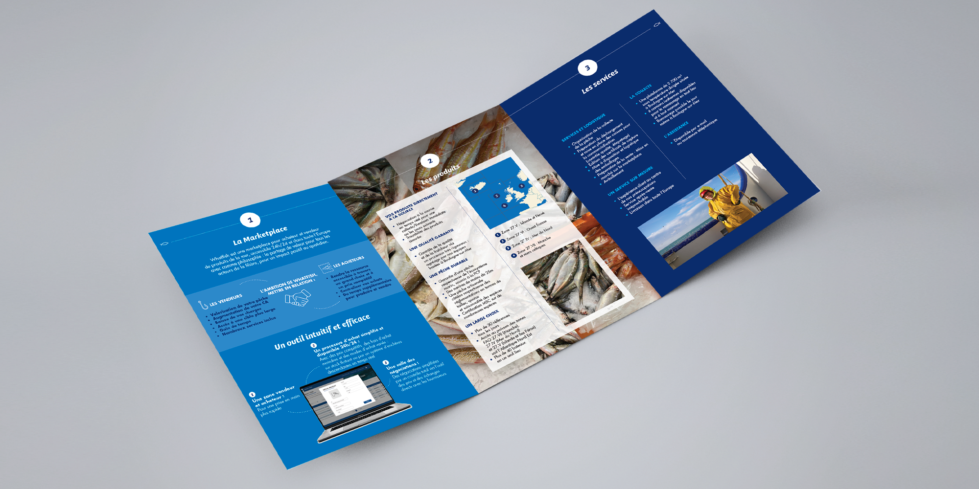 brochure whatfish